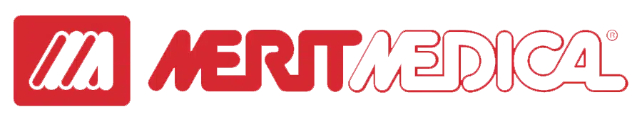 logo merit